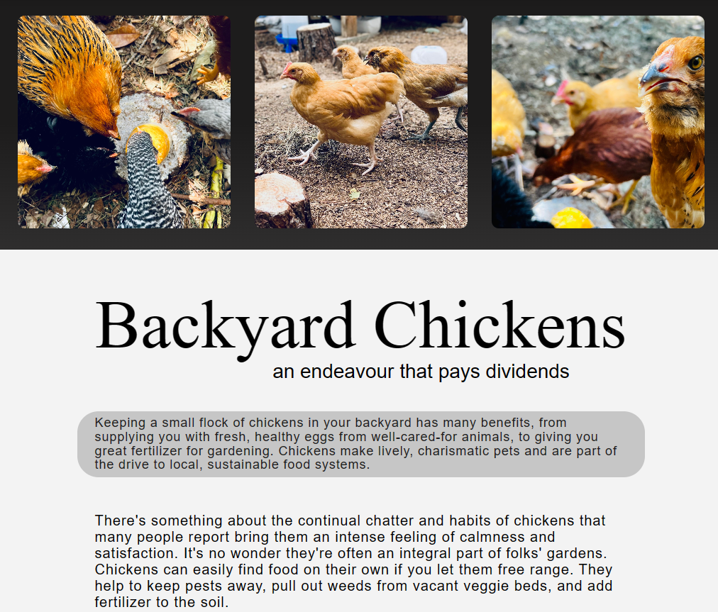 site to learn about backyard chickens developed by chelsea